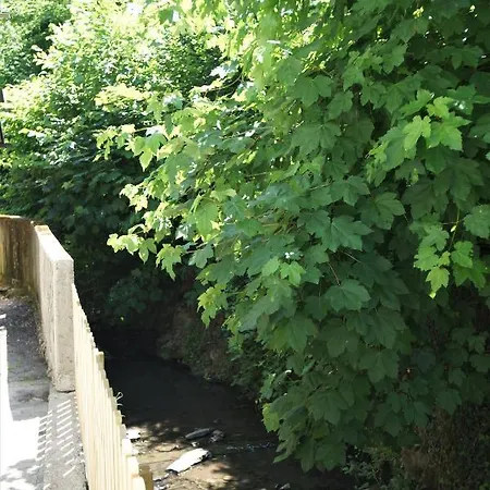 Lägenhet Mill Valley