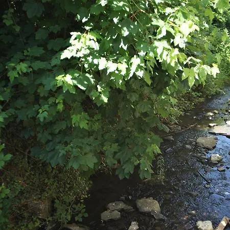 Mill Valley 아파트