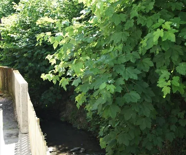 Appartement Mill Valley